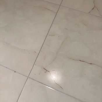 Setur Turizm Mağduriyeti Ve Hedef Beach Resort Otel Kirliliği