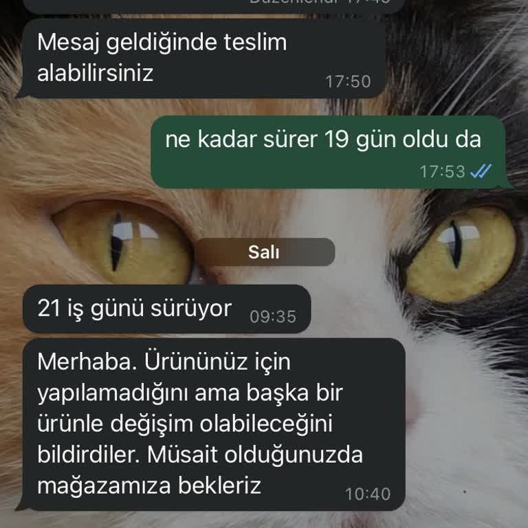 So CHIC 1 Gecede Bilekliğin Tabakası Kırıldı