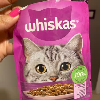 Whiskas Yaş Mama Yiyen Kedim Sürekli Kustu