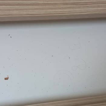 Hubbi Hatun Kız Öğrenci Yurdu Gece Yarısı Zorunlu Oda Değişikliği Ve Hijyen Sorunu!