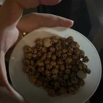 Crystal Hotels Crystal Land Of Paradise