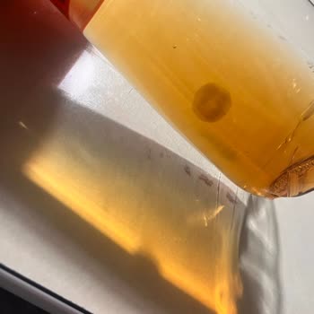 Fuse Tea İçerisinde Bakteri/küf Olabilecek Bir Madde Yüzüyor