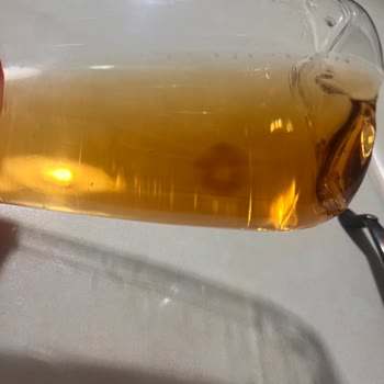 Fuse Tea İçerisinde Bakteri/küf Olabilecek Bir Madde Yüzüyor