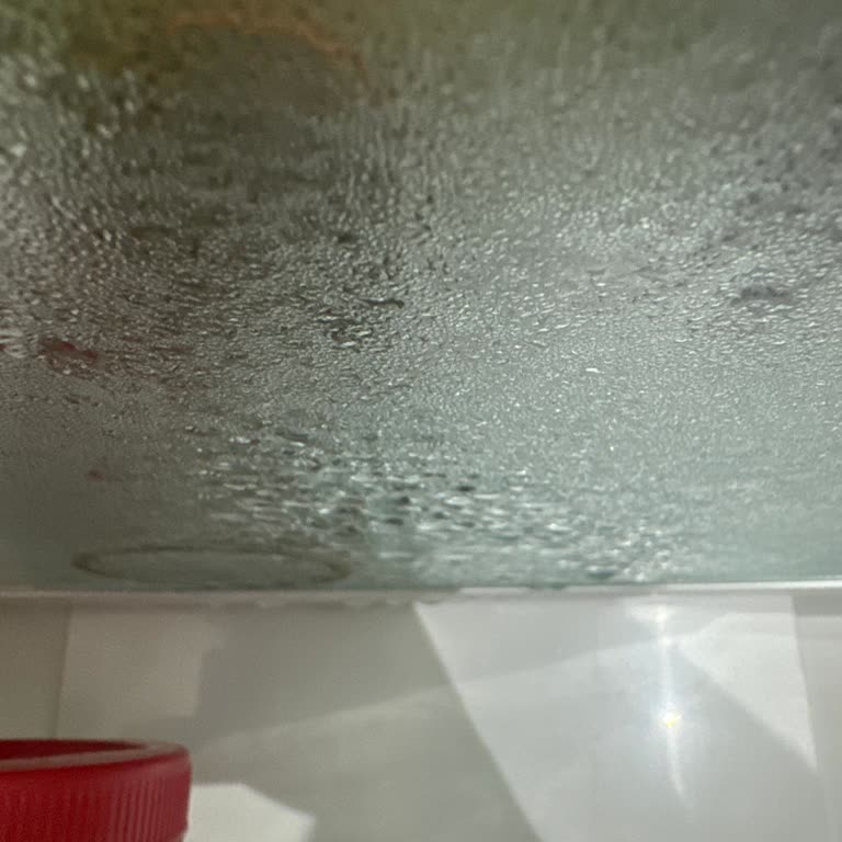 Profilo Buzdolabı Su Damlatıyor