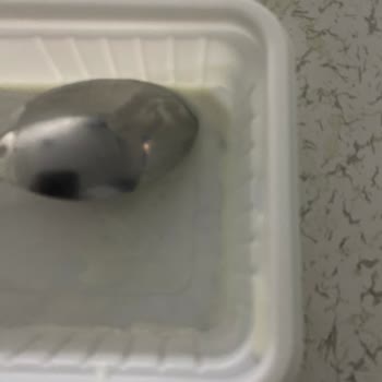 Alpedo Dondurma Pütürlü Toz Tadı Bırakması