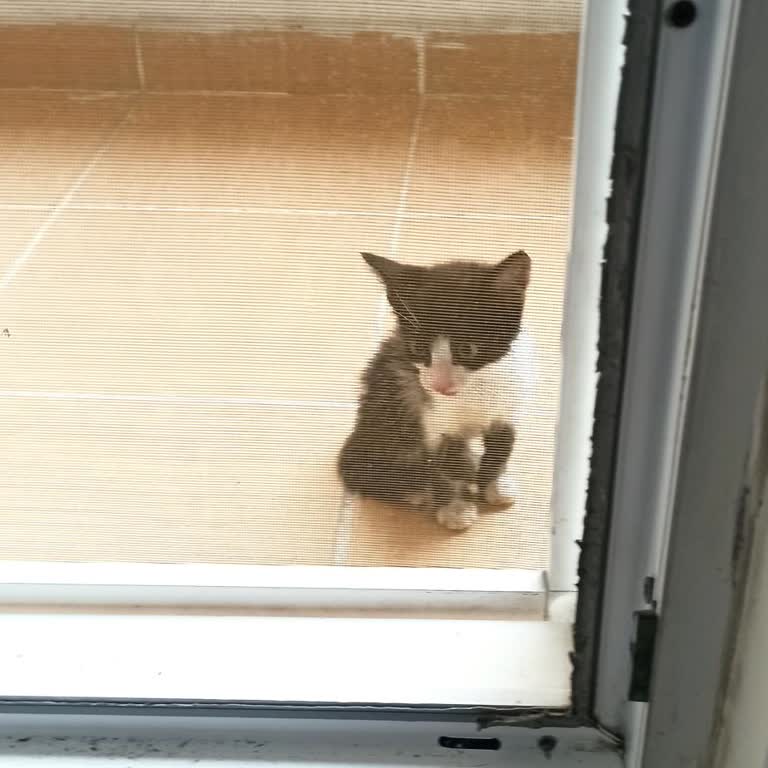 Gölcük Belediyesi Zalim Donanma Kenti Gölcük