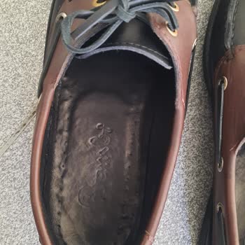 Bambi Ayakkabı Soralım Ve Öğrenelim