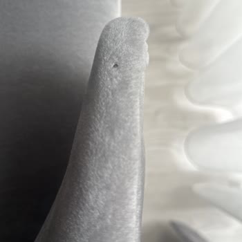 Mobilyaminegolden.com Mobilyam İnegöl'den Sandalye