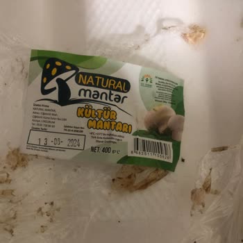 Migros Tarihi Geçmiş Kültür Mantarı