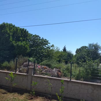 Kandıra Belediyesi İlgili Makama Temizlik İşleri