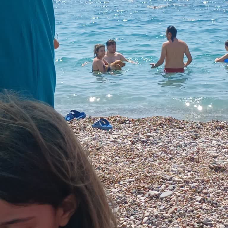 Antalya Büyükşehir Belediyesi Kopekle Halk Plajına Girilmez