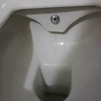 Kale Seramik Klozet Ve Hayal Kırıklıklarım