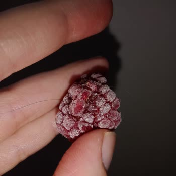 BİM'den Aldığım Dondurulmuş Frambuazda Saç Teli Şoku!