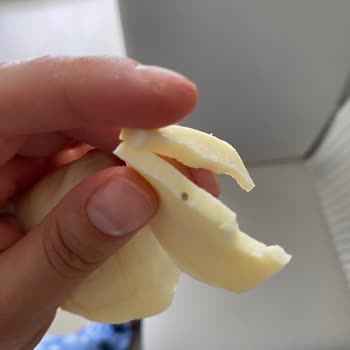 Ekici Peynir Kaşar Peynirin İçinden Plastik Madde