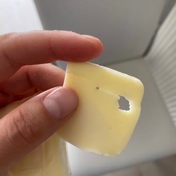 Ekici Peynir Kaşar Peynirin İçinden Plastik Madde