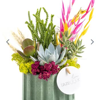 Taze Çiçek (tazecicek.com) Hayal Kırıklığı: Sipariş Ve Teslimat Sorunu