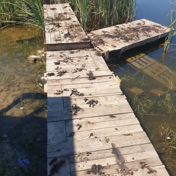 Aheste Karavan İyi Bir Yer Değil!