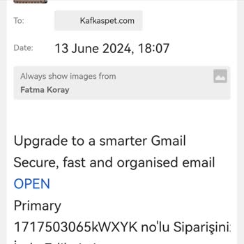 Kafkas Pet Teslimat Yok, Paramı İade Etmiyorlar!