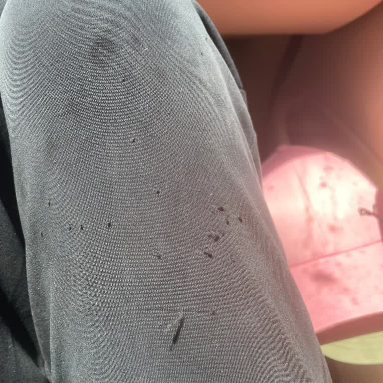 Oysho Eşofman Altının Hızla Deformasyonu