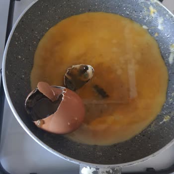 Onur Market Marketten Aldığım Organik Yumurtalar Bozuk Çıktı