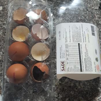 Onur Market Marketten Aldığım Organik Yumurtalar Bozuk Çıktı