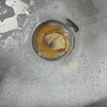 Onur Market Marketten Aldığım Organik Yumurtalar Bozuk Çıktı