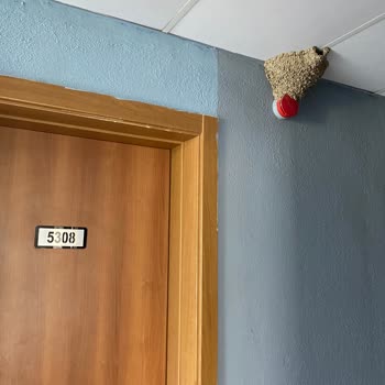 Eldar Resort Hotel Memnuniyetsizliği