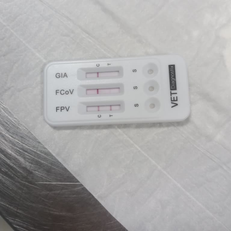 Eskişehir, Baygün Veteriner Kliniği İhmali!