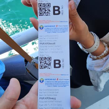 Turyol Para Satin Alıp Hizmet Vermemek