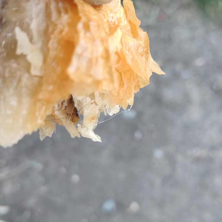 Erciyes Börek Baklava Kıllı Baklava