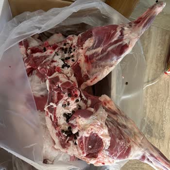 Migros Hayvan Pisliğine Bulanmış Kurban Eti Teslim Etti