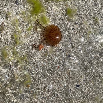 Silivri Belediyesi Olumsuz Deneyim Ve Yüksek Fiyatlar