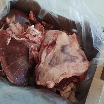 A101'den Aldığımız Kurban Hissesi Hayal Kırıklığı Yarattı