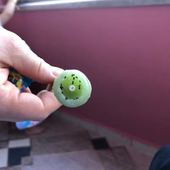 Toybox Şekerinden Böcek Çıktı: Çocuklar İçin Güvenlik Sorunu