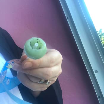 Toybox Şekerinden Böcek Çıktı: Çocuklar İçin Güvenlik Sorunu