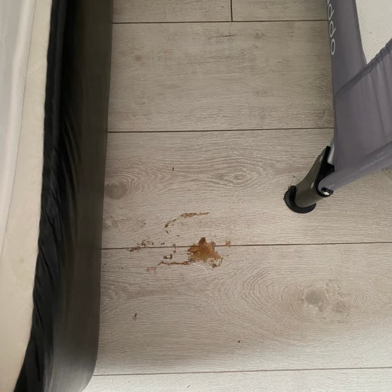 Asr-ı Alâ Hotel Bodrum Asr-ı Ala Otel'de Temizlik Ciddi Sorun