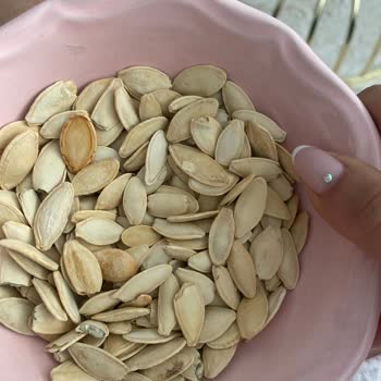 Çerezya Kabak Çekirdeği Kalitesizliği Ve Miktar Sorunu