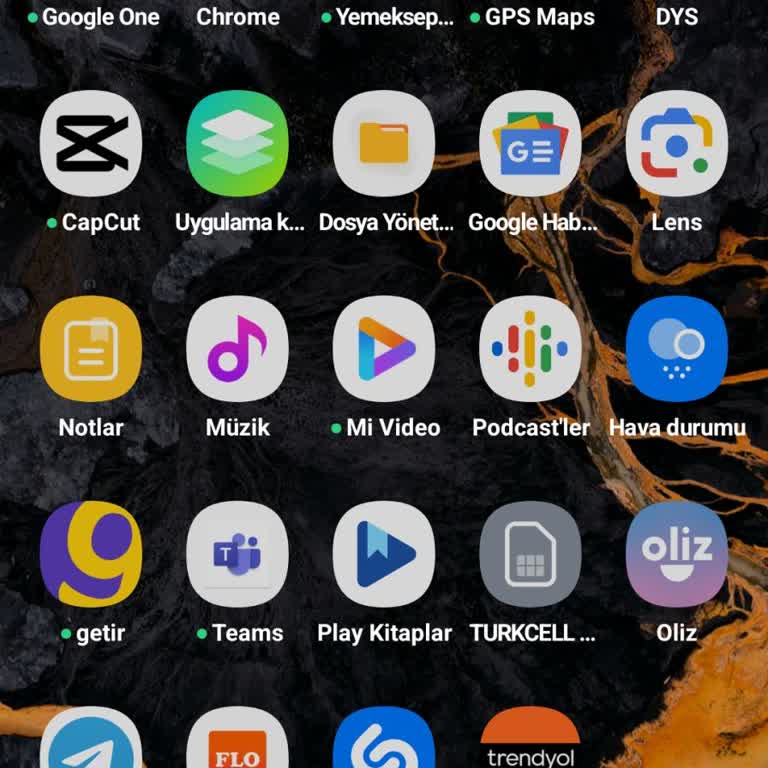 Oppo Ekran Üzerindeki Yazılar