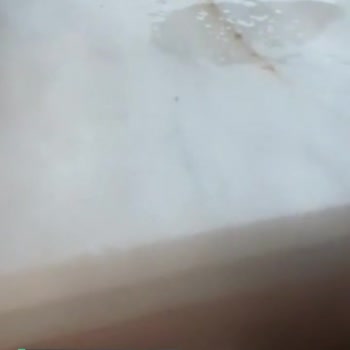 Detan Maxi Karınca İlacı İşe Yaramıyor!