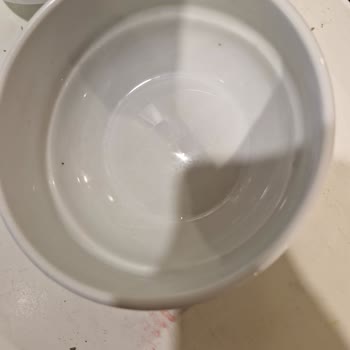 Aydınbey Hotels Aydınbey Queen Palace Pişmanlıktır