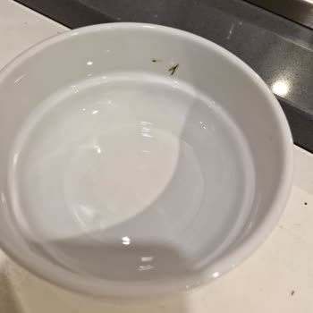 Aydınbey Hotels Aydınbey Queen Palace Pişmanlıktır