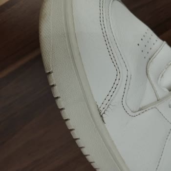 FILA Deichmann Filan Ayakkabı Şikayeti