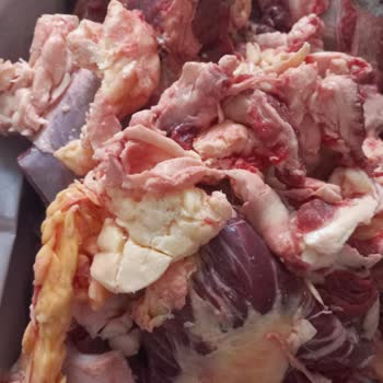 Beşler Sucuk Kurban Kolisi Yağ Kolisi Geldi Et Nerede