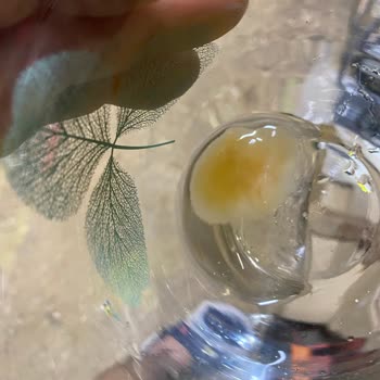 Fuse Tea Soğuk Çaydan Pis Bir Şey Çıktı