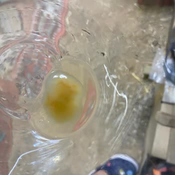 Fuse Tea Soğuk Çaydan Pis Bir Şey Çıktı