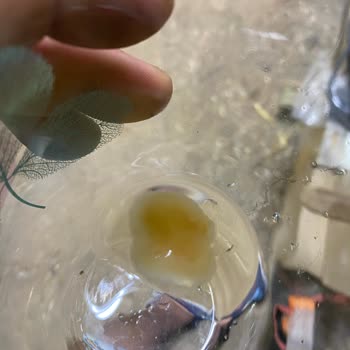 Fuse Tea Soğuk Çaydan Pis Bir Şey Çıktı