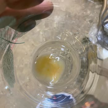 Fuse Tea Soğuk Çaydan Pis Bir Şey Çıktı