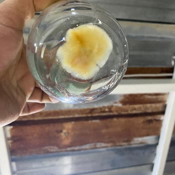 Fuse Tea Soğuk Çaydan Pis Bir Şey Çıktı