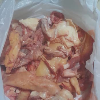 A101 Kurbanlık Büyük Baş