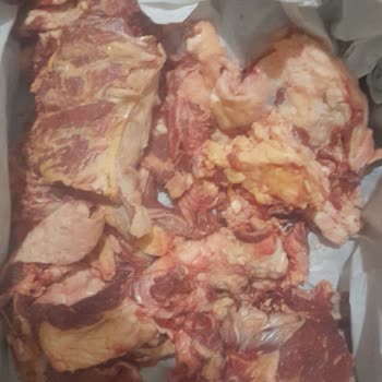 A101 Kurbanlık Büyük Baş